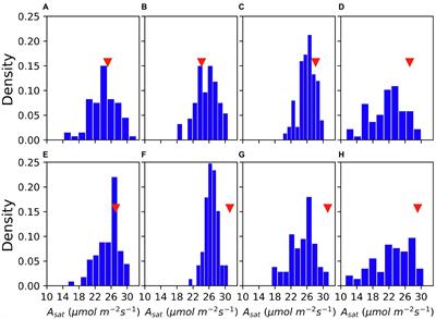 Analysis of Physiological Variations and Genetic Architecture for Photosynthetic Capacity of Japanese Soybean Germplasm